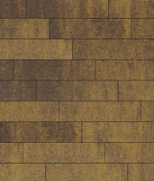  Брусчатка Прямоугольник Листопад 2.П.6 60 мм. Янтарь: внешний вид